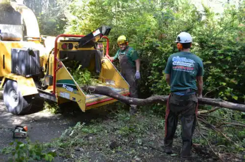 tree services Crestline